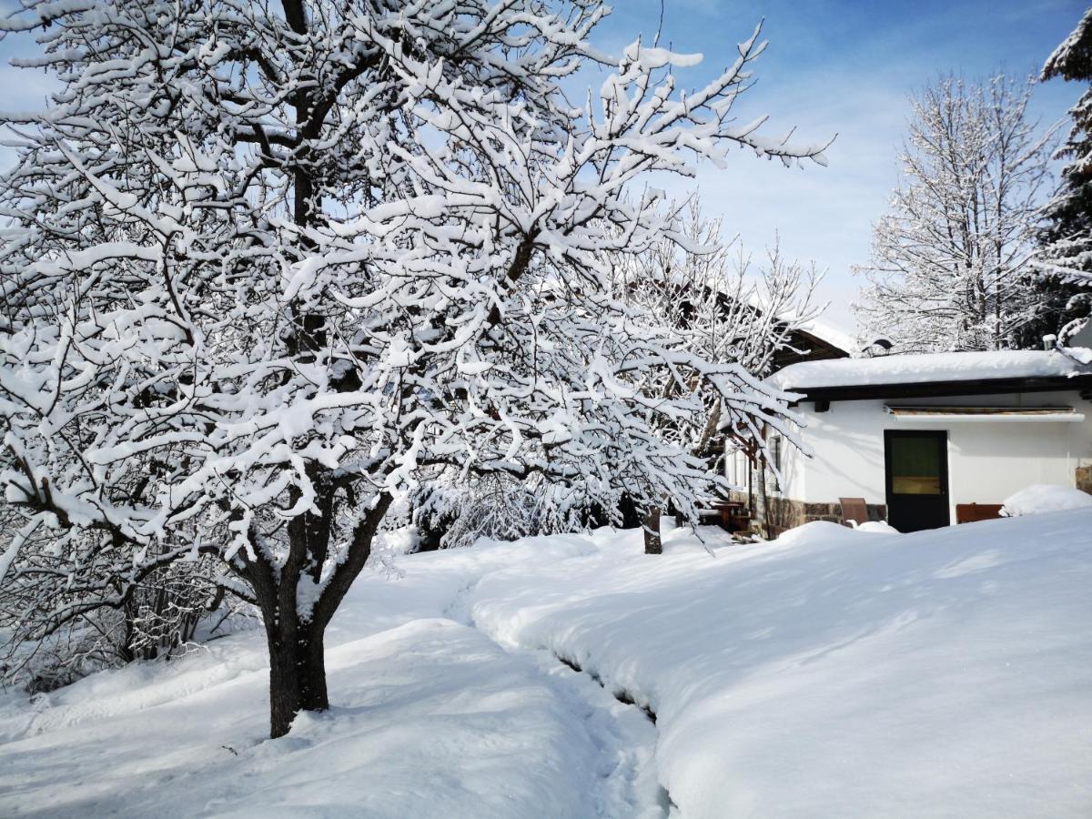 Appartchalet La Rondula Urtijëi Dış mekan fotoğraf
